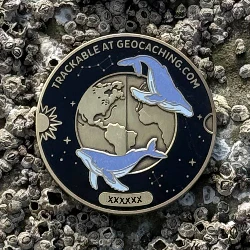 2026 Seasons Geocoin - Image 3
