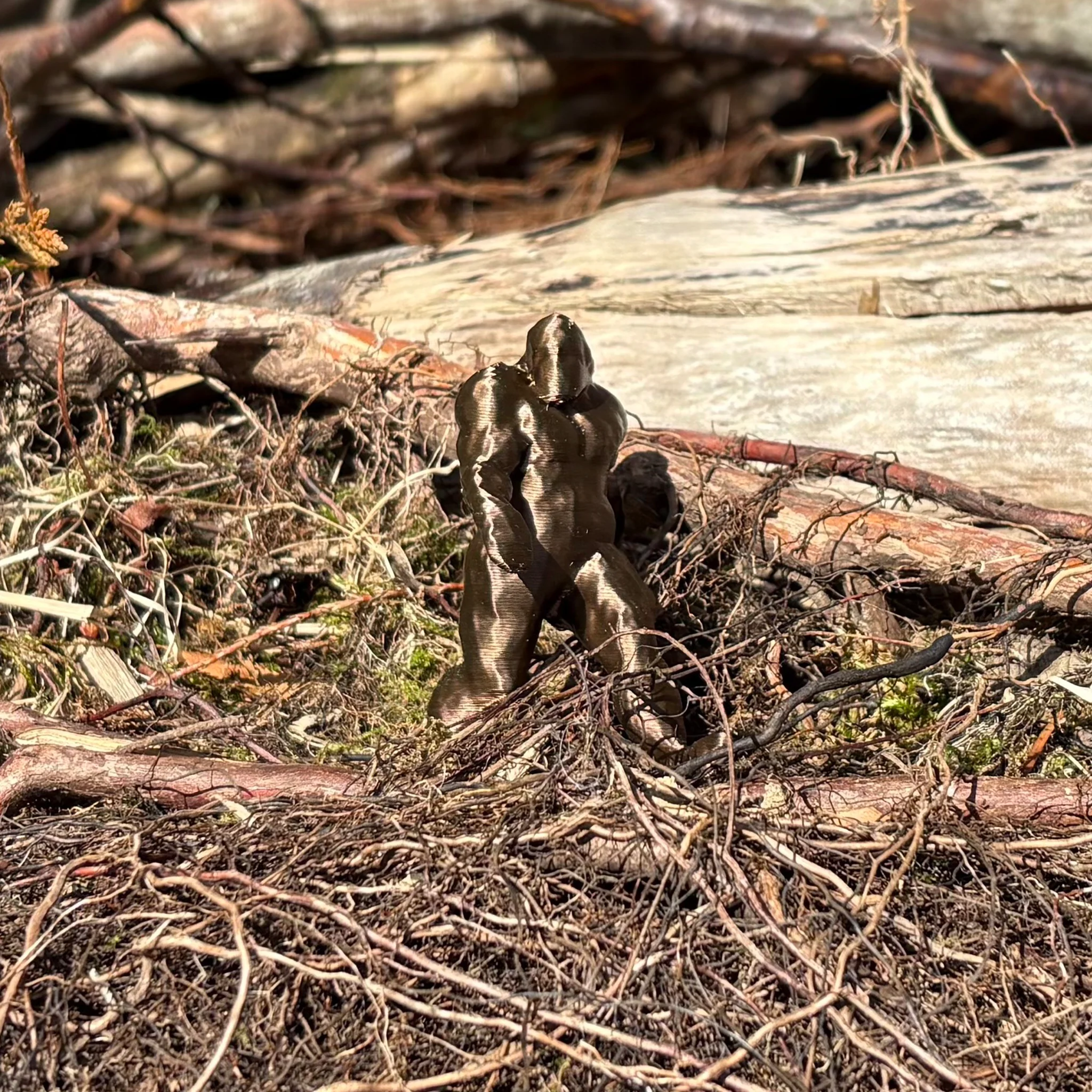 Bigfoot Cache Container: Small - Image 2