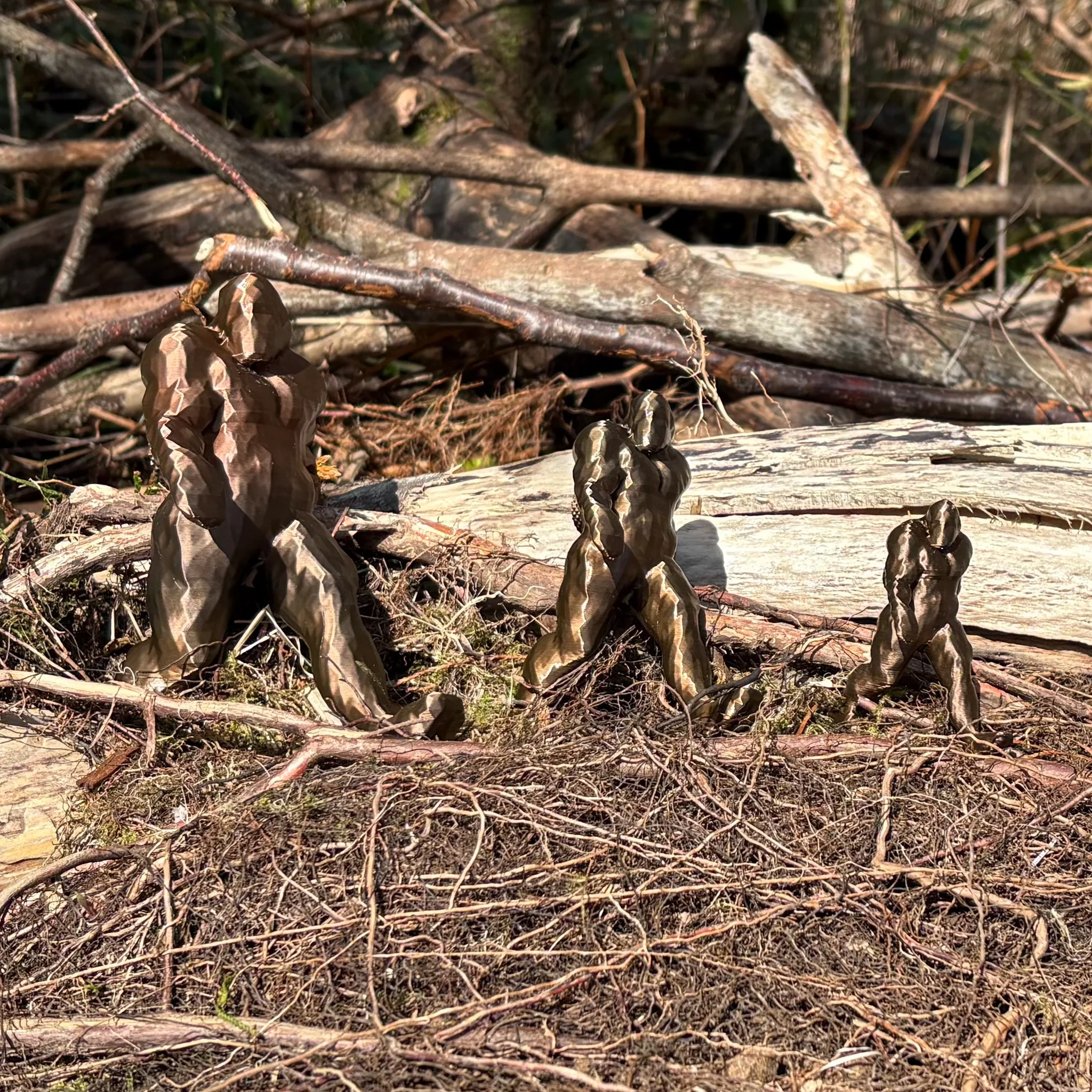 Bigfoot Cache Container: Small - Image 4