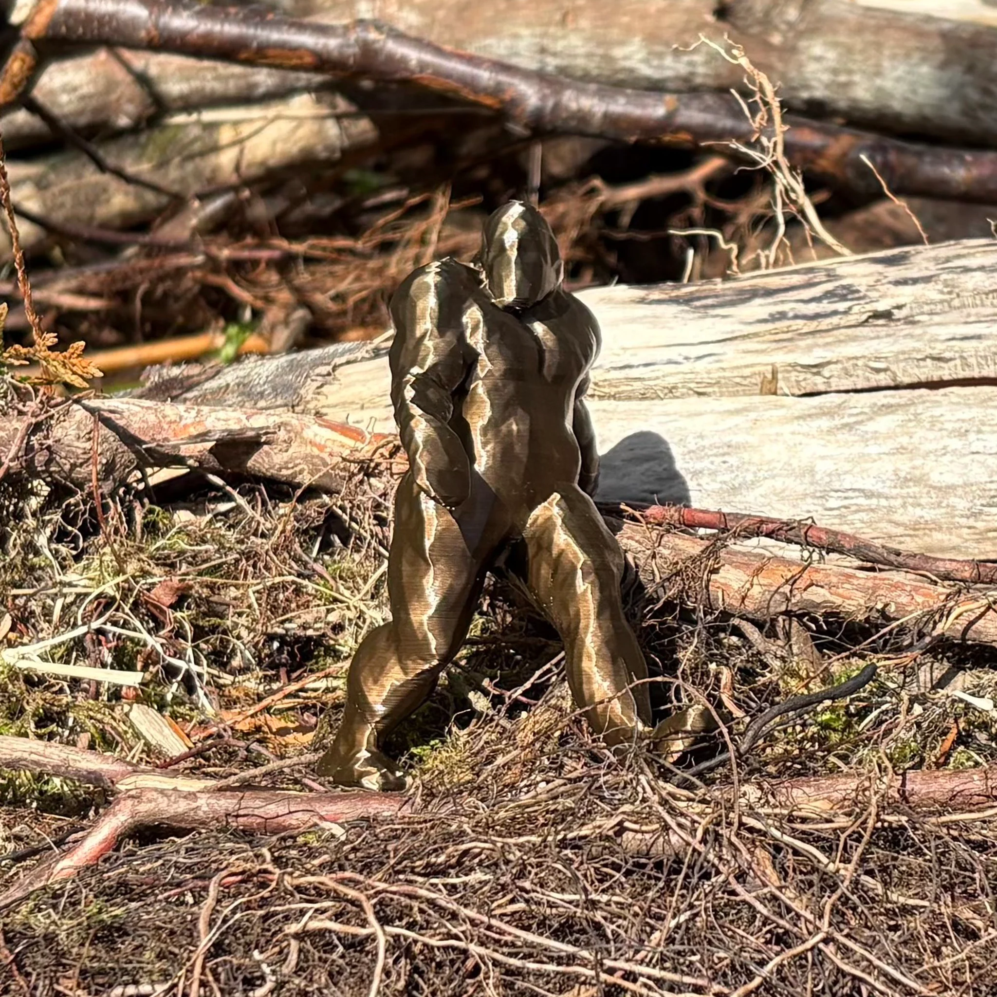 Bigfoot Cache Container: Medium - Image 2