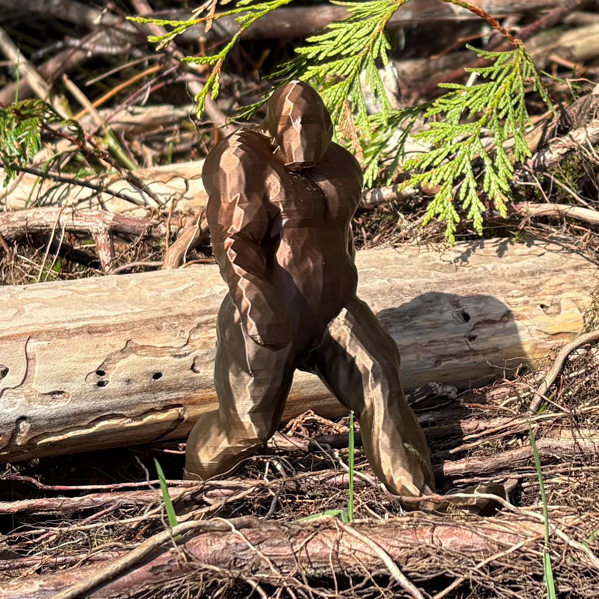 Bigfoot Cache Container: Large - Image 2