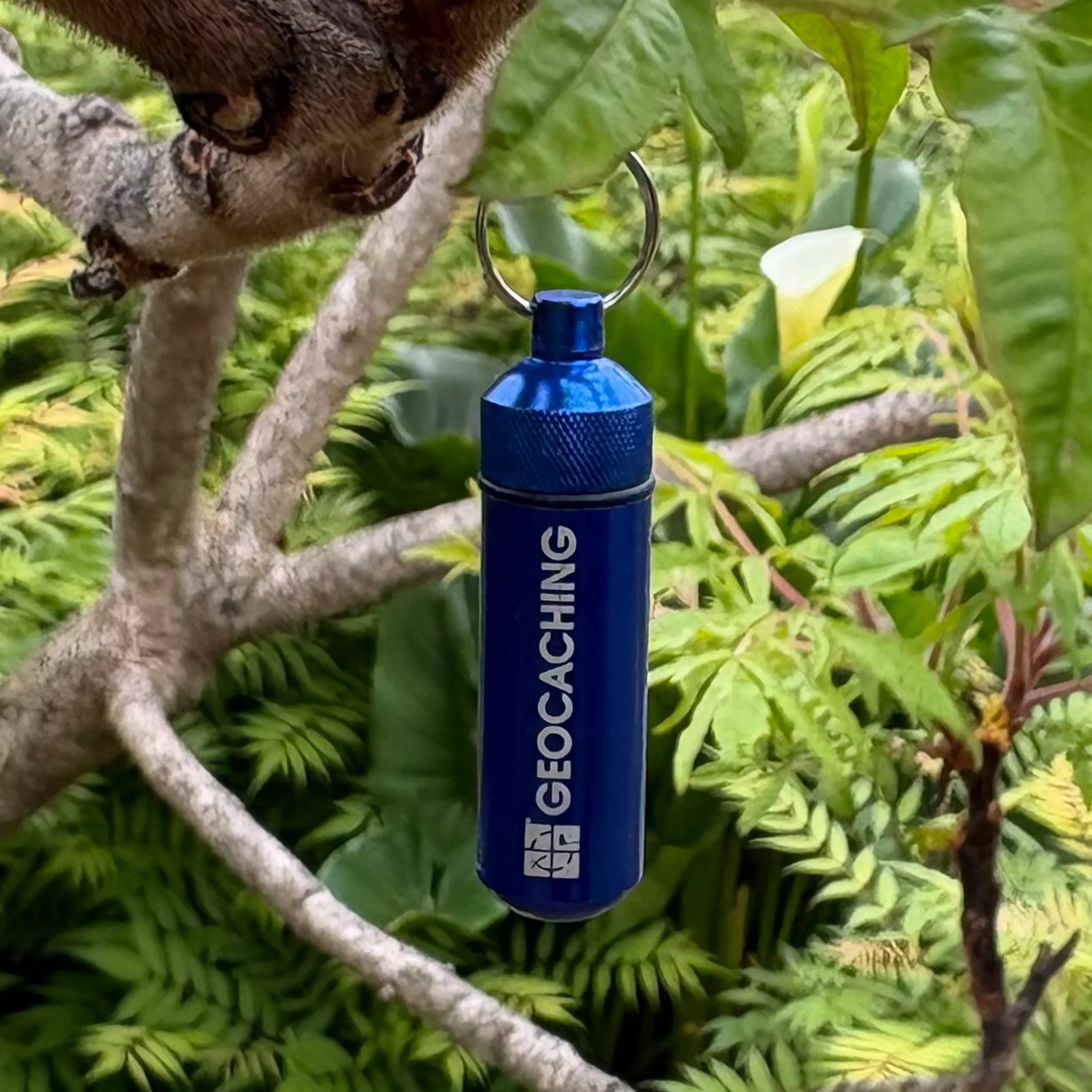 Bison® Small Capsule- Blue - Image 2