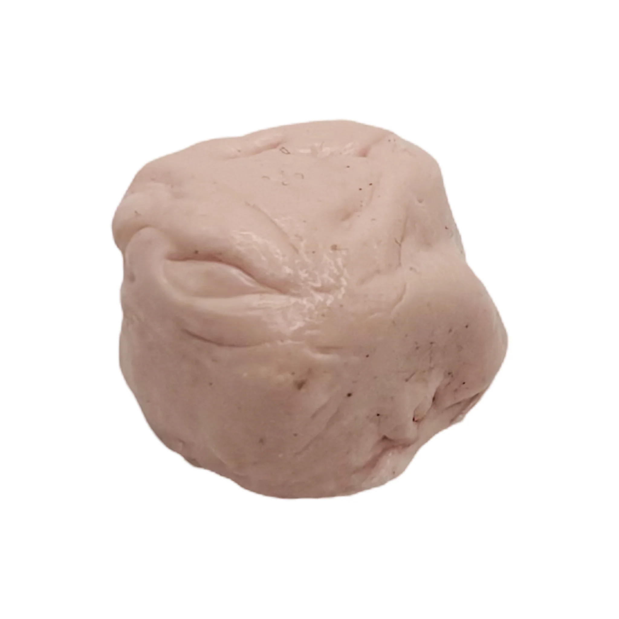 Chewed Gum Devious Cache Container