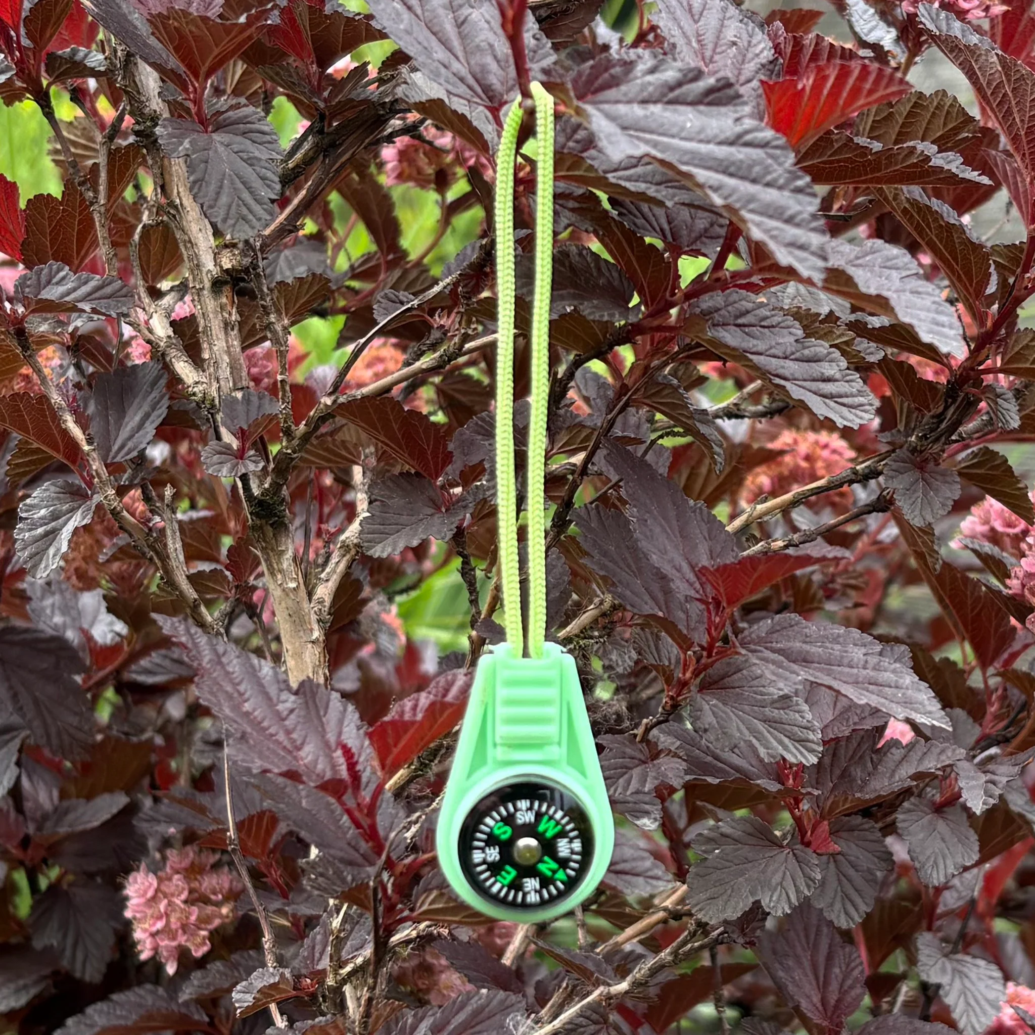 Compass SWAG/Zipper Pull- Green - Image 5
