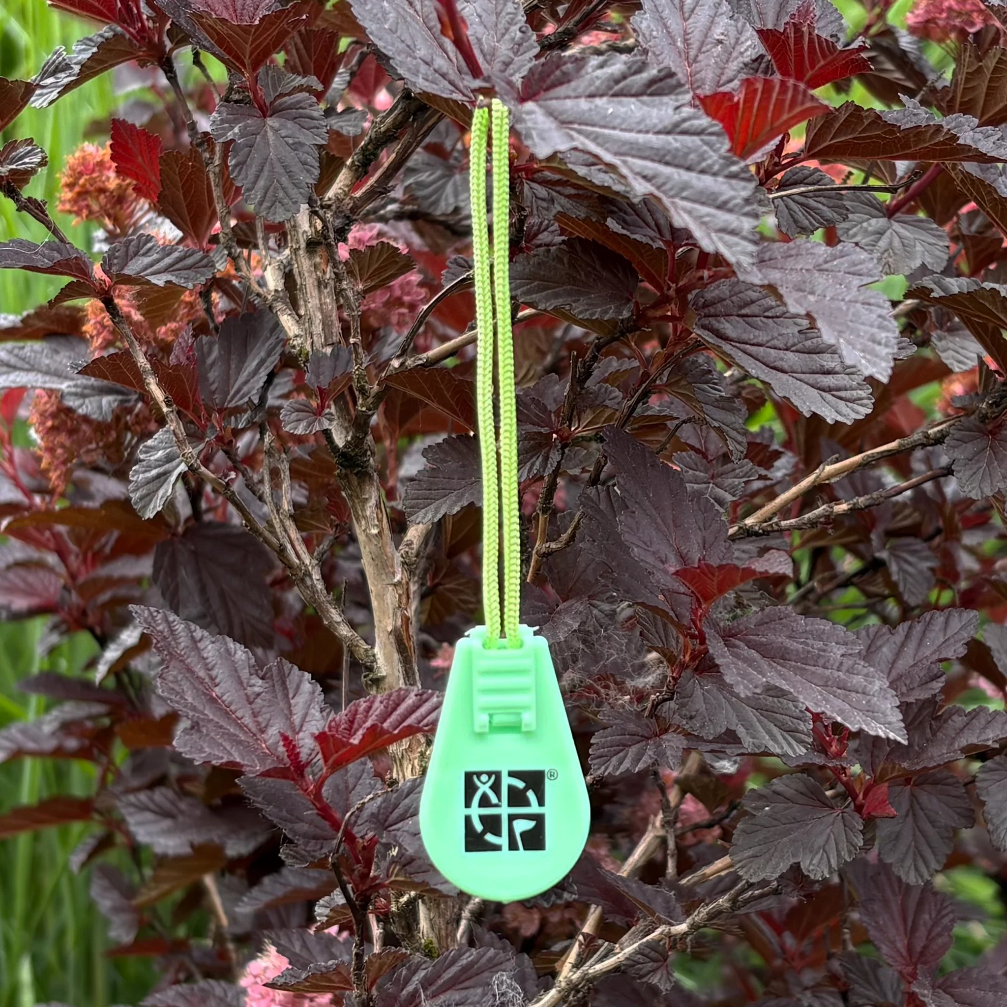 Compass SWAG/Zipper Pull- Green - Image 6