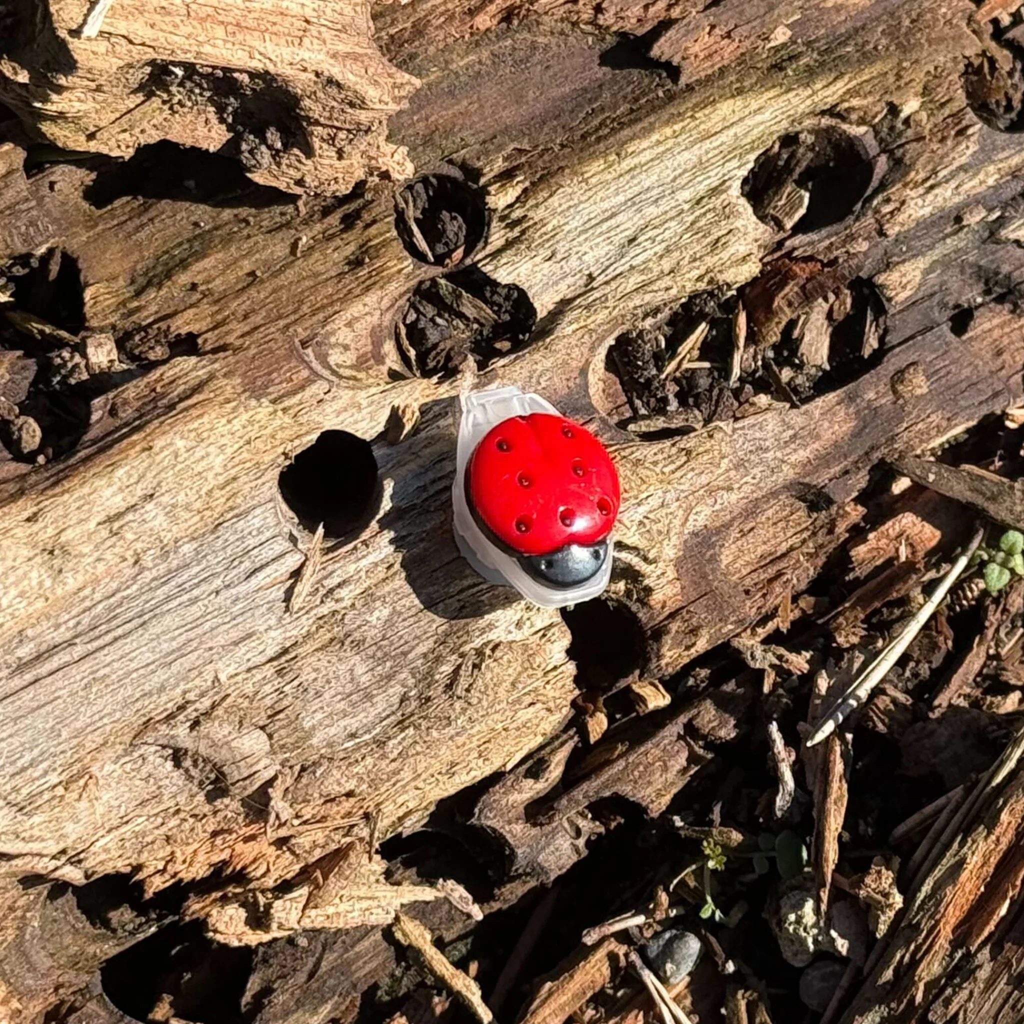 Ladybug Nano Tube Geocache Container - Image 2
