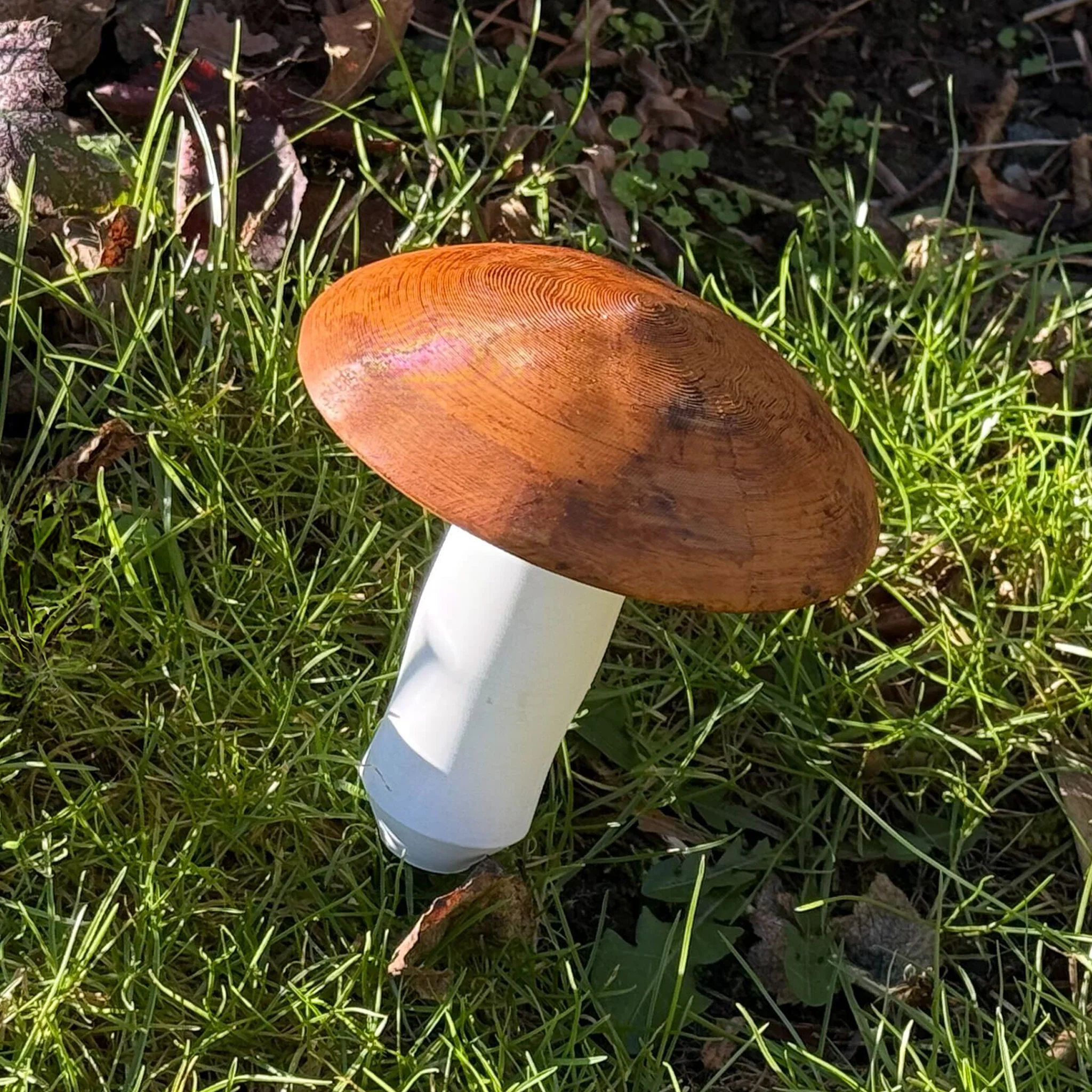 Large Mushroom Devious Cache Container - Image 2