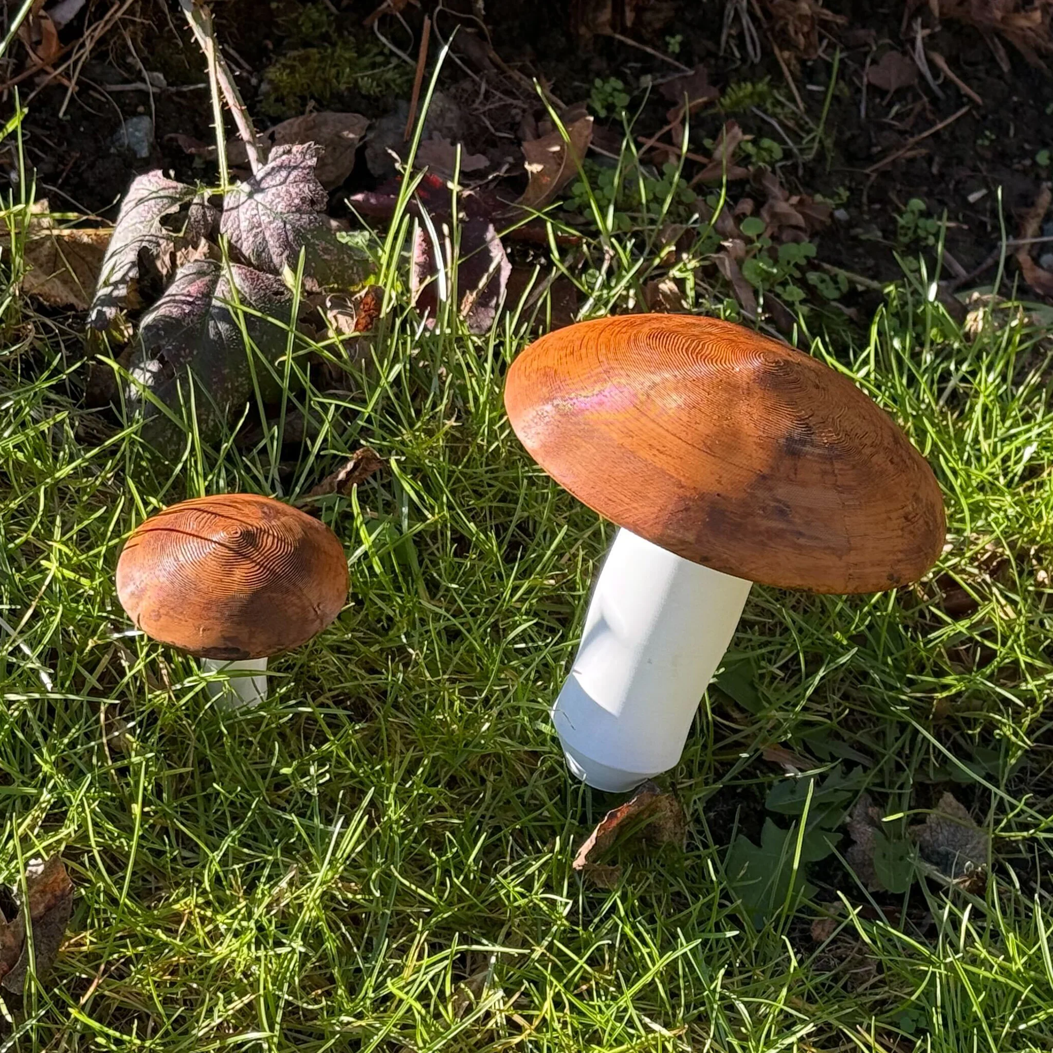 Large Mushroom Devious Cache Container - Image 4