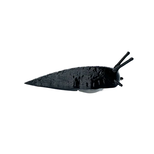 Slug Devious Cache Container - Black