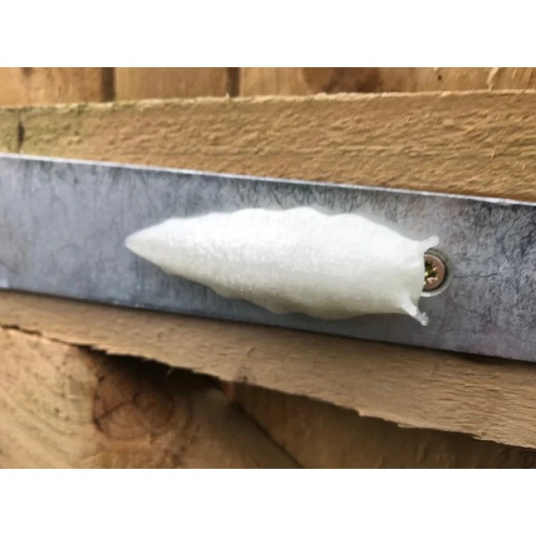 Slug Devious Cache Container - Glow in the Dark - Image 3