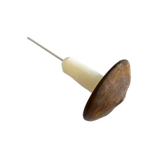 Small Mushroom Devious Cache Container