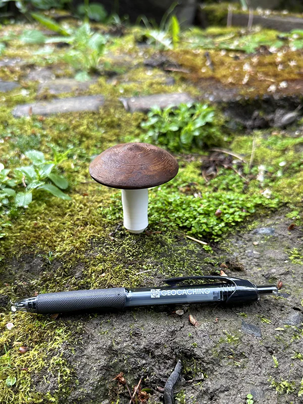 Small Mushroom Devious Cache Container - Image 6