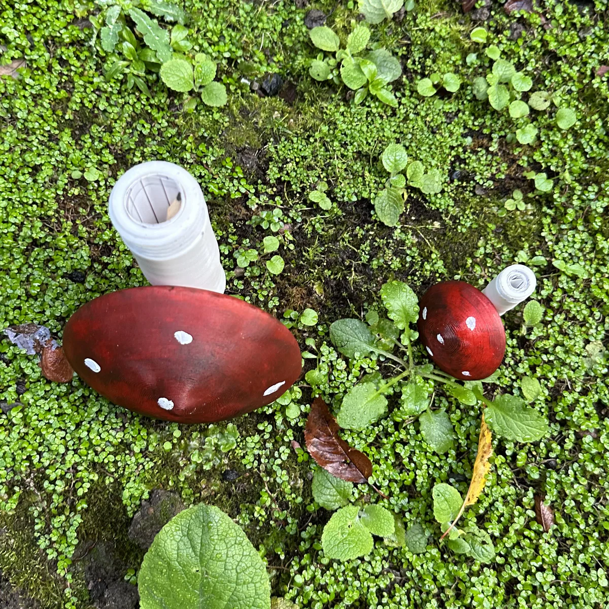 Small Toadstool Devious Cache Container - Image 3