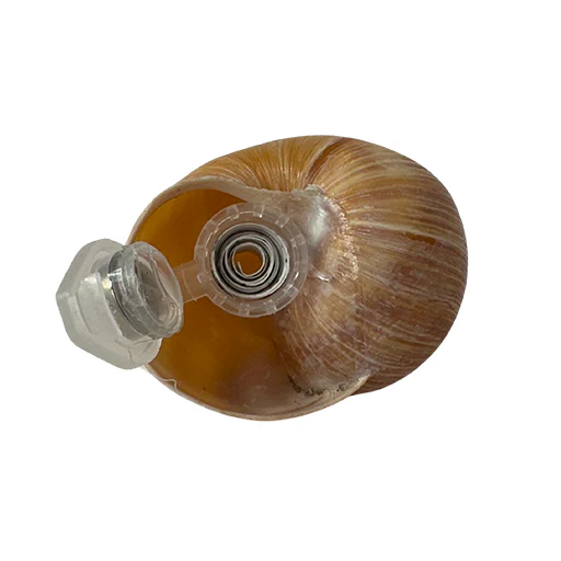 Snail Shell Devious Cache Container - Image 3