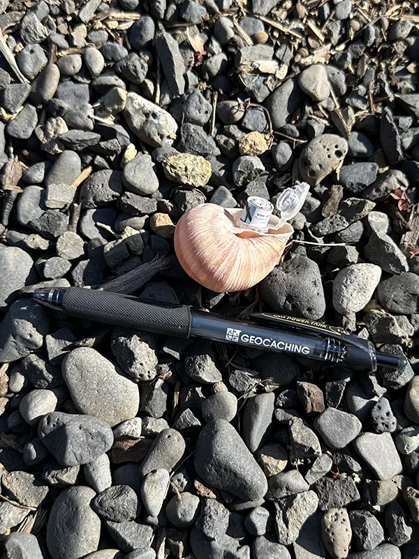 Snail Shell Devious Cache Container - Image 4