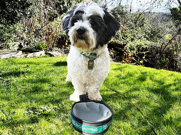 Tracker® Engravable and Trackable Dog Tag - Image 3
